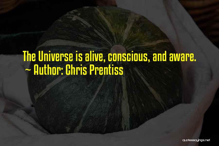 Chris Prentiss Quotes: The Universe Is Alive, Conscious, And Aware.