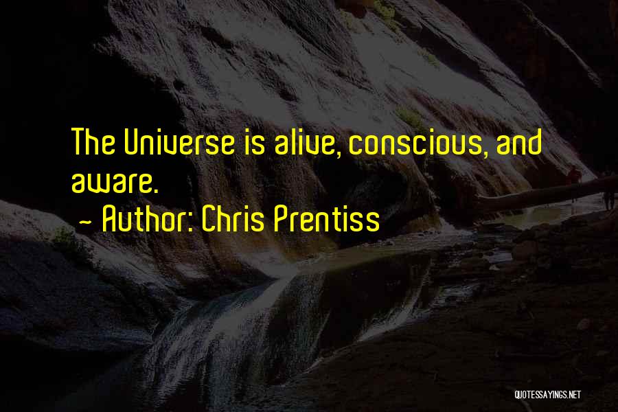 Chris Prentiss Quotes: The Universe Is Alive, Conscious, And Aware.