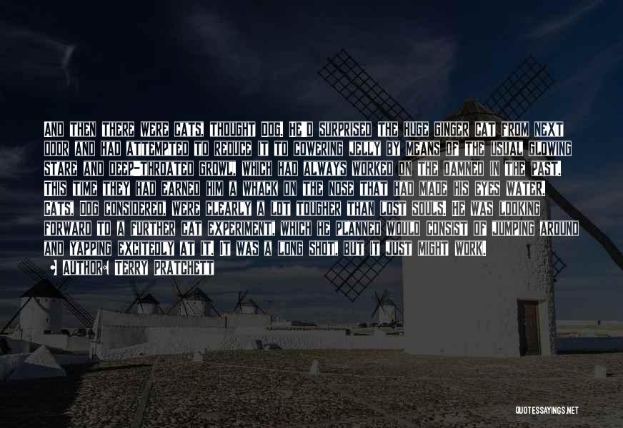 Terry Pratchett Quotes: And Then There Were Cats, Thought Dog. He'd Surprised The Huge Ginger Cat From Next Door And Had Attempted To