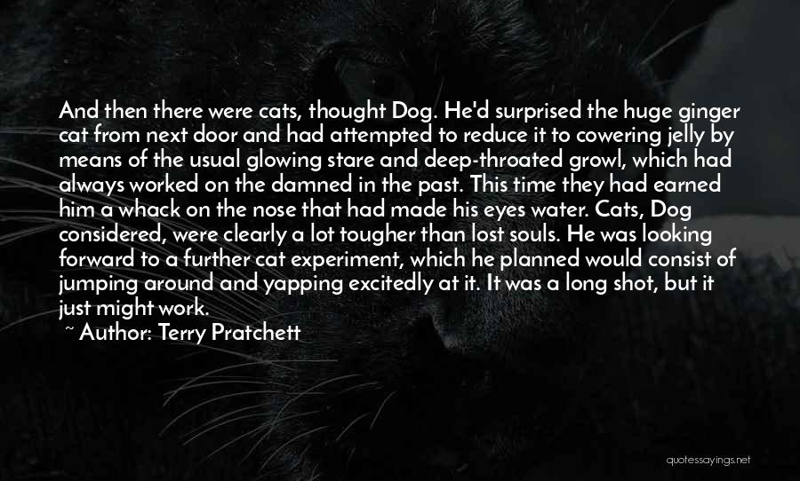 Terry Pratchett Quotes: And Then There Were Cats, Thought Dog. He'd Surprised The Huge Ginger Cat From Next Door And Had Attempted To