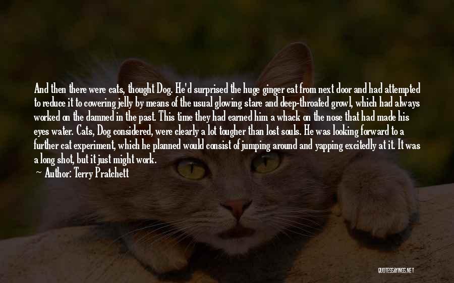 Terry Pratchett Quotes: And Then There Were Cats, Thought Dog. He'd Surprised The Huge Ginger Cat From Next Door And Had Attempted To