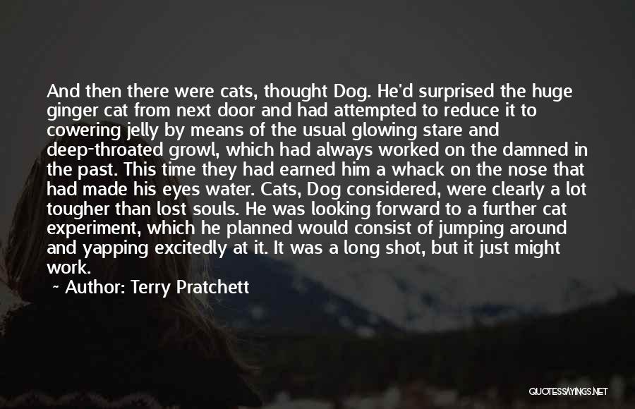 Terry Pratchett Quotes: And Then There Were Cats, Thought Dog. He'd Surprised The Huge Ginger Cat From Next Door And Had Attempted To