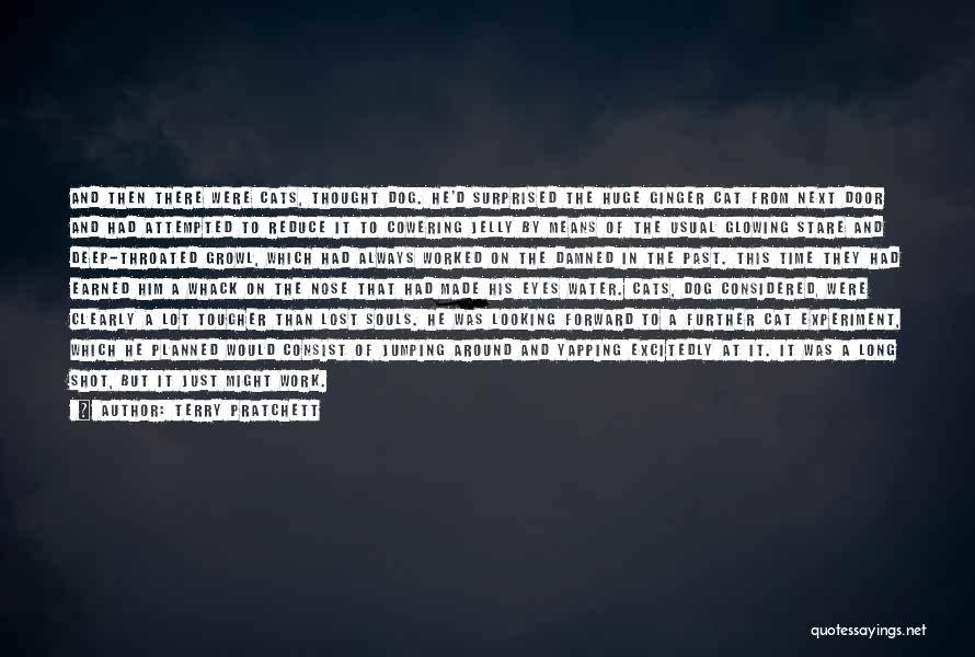 Terry Pratchett Quotes: And Then There Were Cats, Thought Dog. He'd Surprised The Huge Ginger Cat From Next Door And Had Attempted To