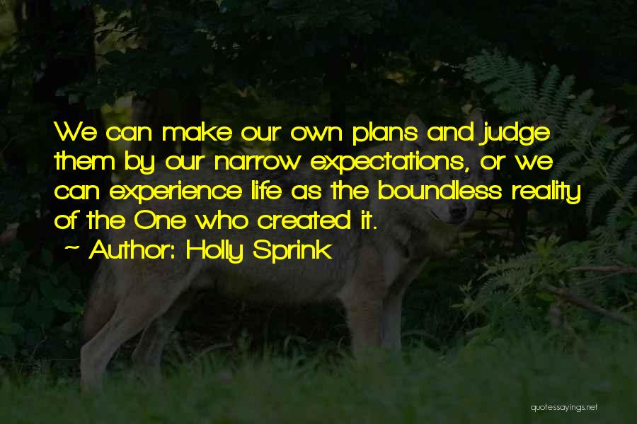 Holly Sprink Quotes: We Can Make Our Own Plans And Judge Them By Our Narrow Expectations, Or We Can Experience Life As The