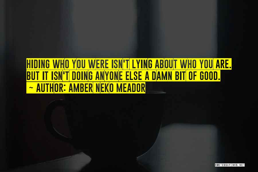 Amber Neko Meador Quotes: Hiding Who You Were Isn't Lying About Who You Are. But It Isn't Doing Anyone Else A Damn Bit Of