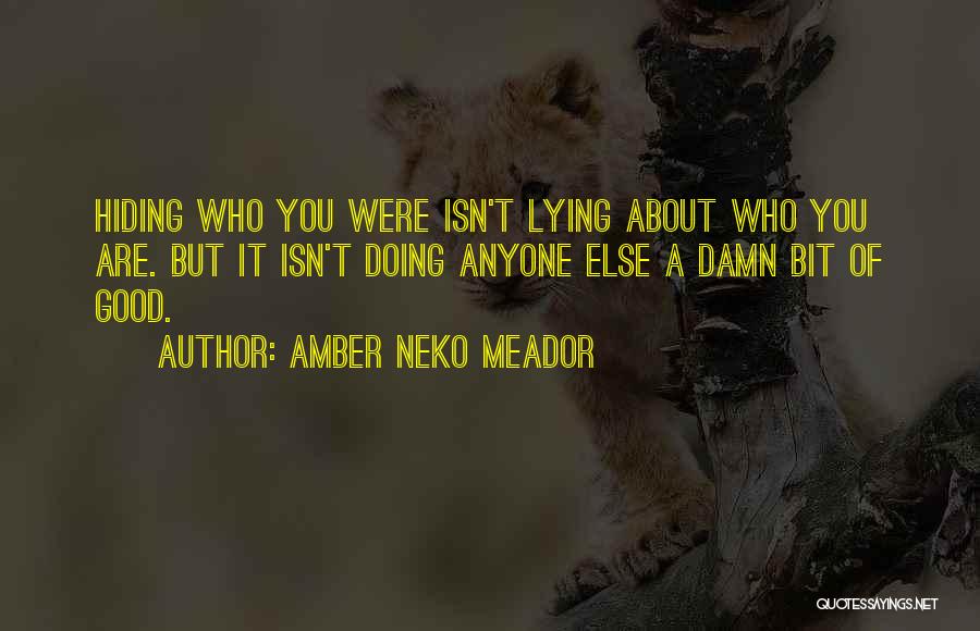 Amber Neko Meador Quotes: Hiding Who You Were Isn't Lying About Who You Are. But It Isn't Doing Anyone Else A Damn Bit Of