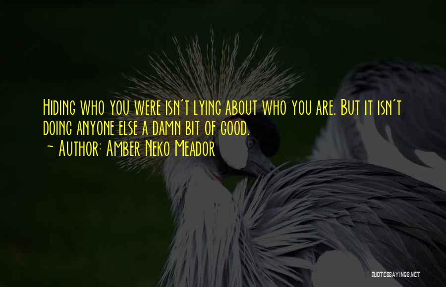 Amber Neko Meador Quotes: Hiding Who You Were Isn't Lying About Who You Are. But It Isn't Doing Anyone Else A Damn Bit Of