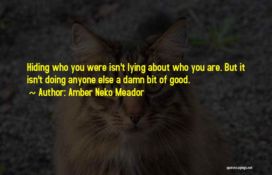 Amber Neko Meador Quotes: Hiding Who You Were Isn't Lying About Who You Are. But It Isn't Doing Anyone Else A Damn Bit Of