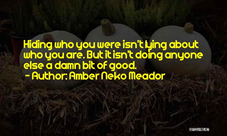 Amber Neko Meador Quotes: Hiding Who You Were Isn't Lying About Who You Are. But It Isn't Doing Anyone Else A Damn Bit Of