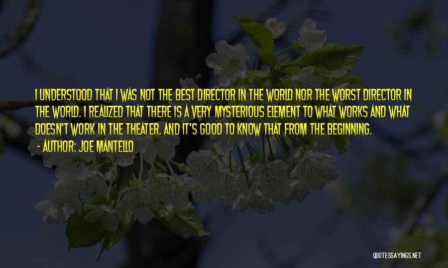 Joe Mantello Quotes: I Understood That I Was Not The Best Director In The World Nor The Worst Director In The World. I