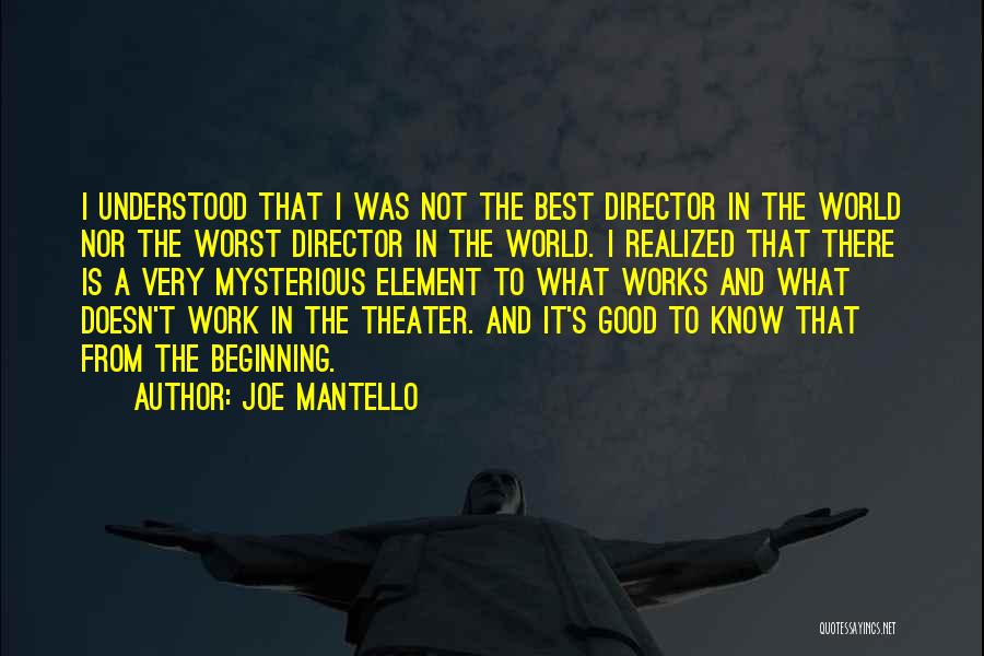 Joe Mantello Quotes: I Understood That I Was Not The Best Director In The World Nor The Worst Director In The World. I