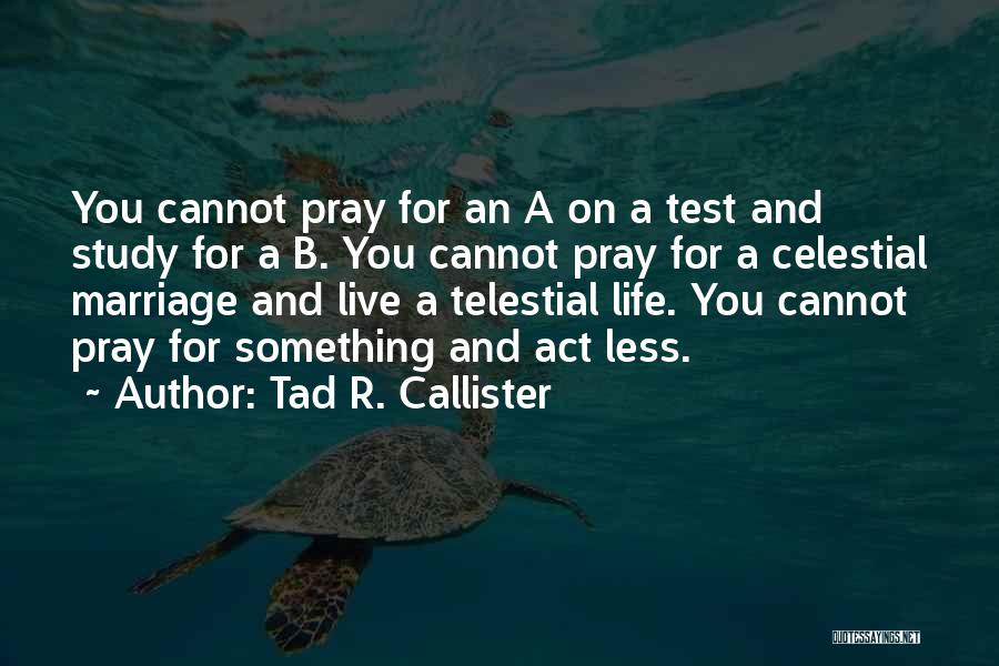 Tad R. Callister Quotes: You Cannot Pray For An A On A Test And Study For A B. You Cannot Pray For A Celestial