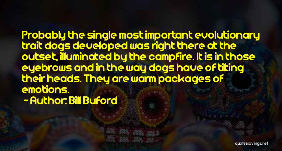 Bill Buford Quotes: Probably The Single Most Important Evolutionary Trait Dogs Developed Was Right There At The Outset, Illuminated By The Campfire. It