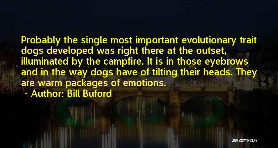 Bill Buford Quotes: Probably The Single Most Important Evolutionary Trait Dogs Developed Was Right There At The Outset, Illuminated By The Campfire. It