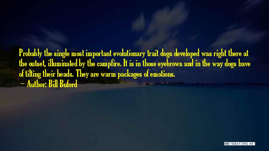 Bill Buford Quotes: Probably The Single Most Important Evolutionary Trait Dogs Developed Was Right There At The Outset, Illuminated By The Campfire. It