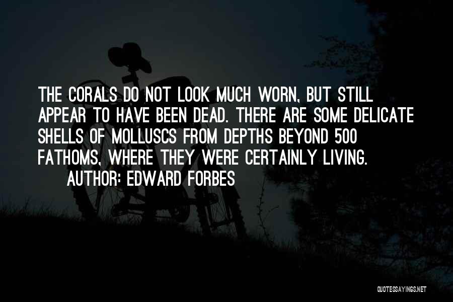Edward Forbes Quotes: The Corals Do Not Look Much Worn, But Still Appear To Have Been Dead. There Are Some Delicate Shells Of