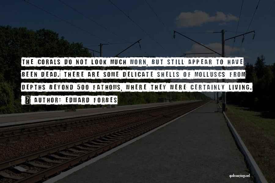 Edward Forbes Quotes: The Corals Do Not Look Much Worn, But Still Appear To Have Been Dead. There Are Some Delicate Shells Of