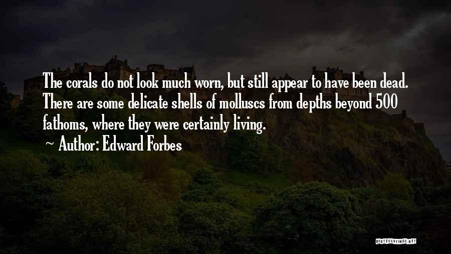 Edward Forbes Quotes: The Corals Do Not Look Much Worn, But Still Appear To Have Been Dead. There Are Some Delicate Shells Of