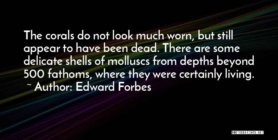 Edward Forbes Quotes: The Corals Do Not Look Much Worn, But Still Appear To Have Been Dead. There Are Some Delicate Shells Of