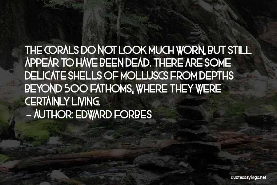 Edward Forbes Quotes: The Corals Do Not Look Much Worn, But Still Appear To Have Been Dead. There Are Some Delicate Shells Of