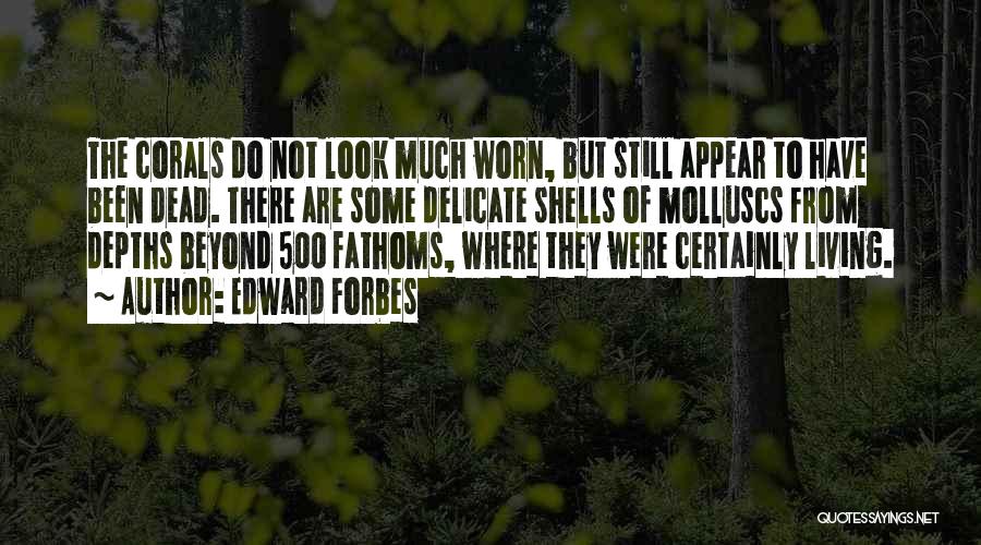 Edward Forbes Quotes: The Corals Do Not Look Much Worn, But Still Appear To Have Been Dead. There Are Some Delicate Shells Of