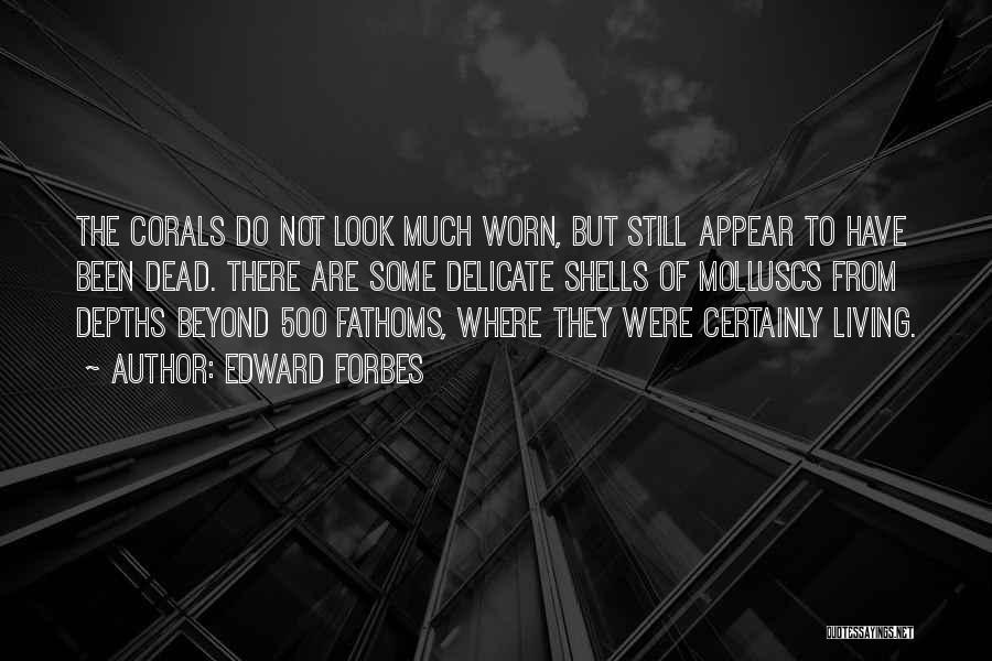 Edward Forbes Quotes: The Corals Do Not Look Much Worn, But Still Appear To Have Been Dead. There Are Some Delicate Shells Of