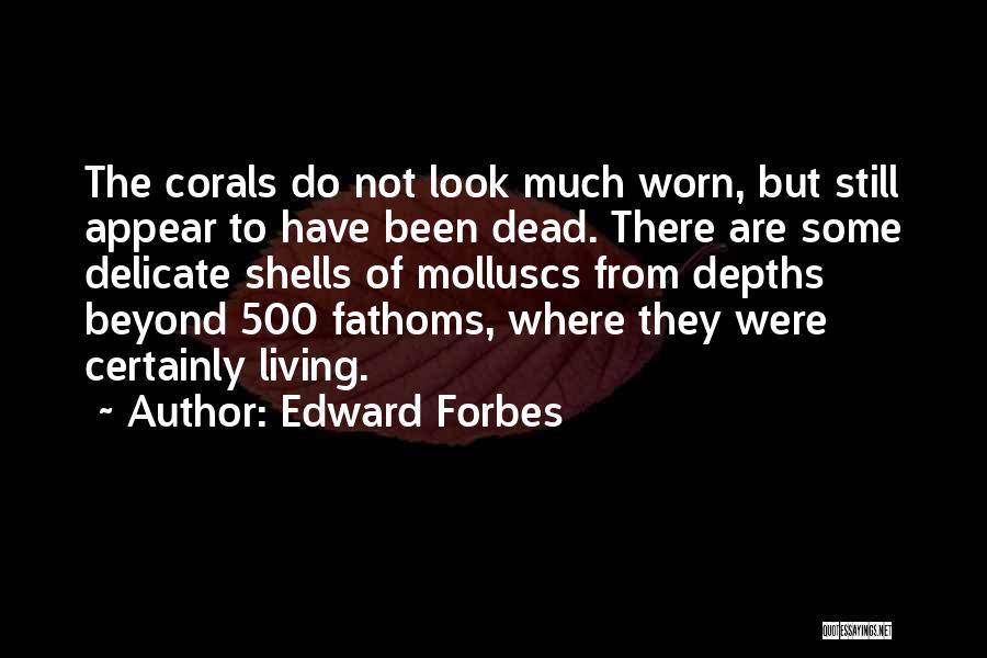 Edward Forbes Quotes: The Corals Do Not Look Much Worn, But Still Appear To Have Been Dead. There Are Some Delicate Shells Of