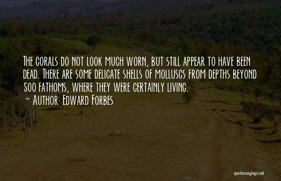 Edward Forbes Quotes: The Corals Do Not Look Much Worn, But Still Appear To Have Been Dead. There Are Some Delicate Shells Of