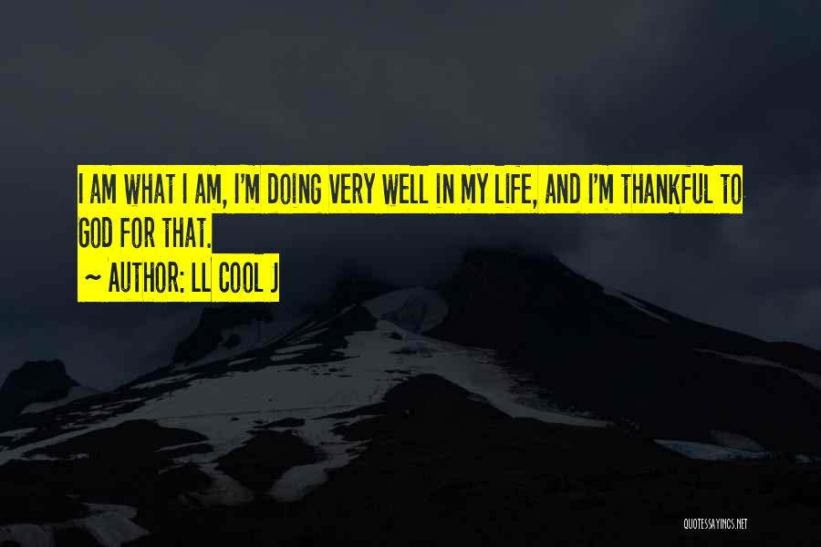 LL Cool J Quotes: I Am What I Am, I'm Doing Very Well In My Life, And I'm Thankful To God For That.