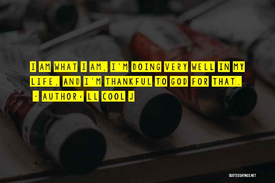 LL Cool J Quotes: I Am What I Am, I'm Doing Very Well In My Life, And I'm Thankful To God For That.