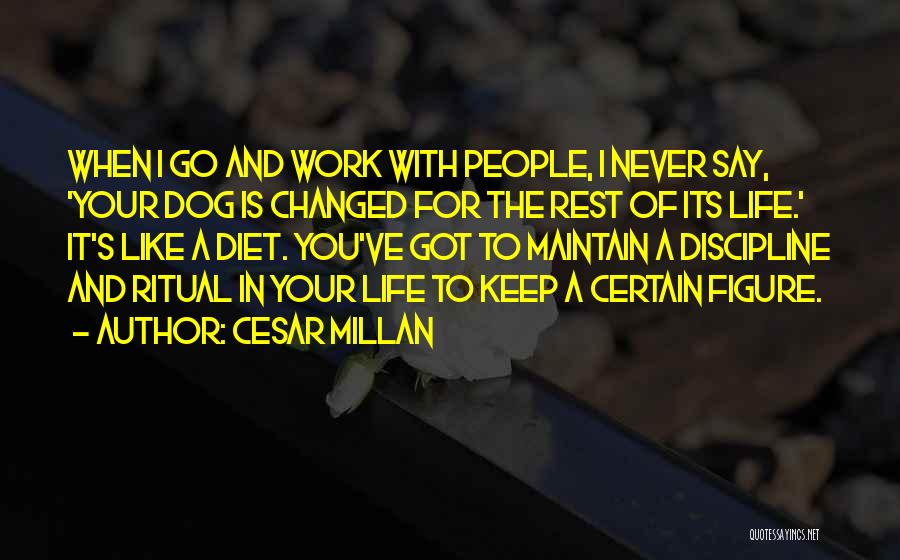 Cesar Millan Quotes: When I Go And Work With People, I Never Say, 'your Dog Is Changed For The Rest Of Its Life.'