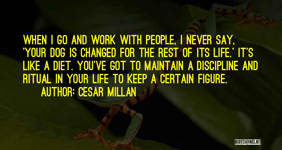 Cesar Millan Quotes: When I Go And Work With People, I Never Say, 'your Dog Is Changed For The Rest Of Its Life.'