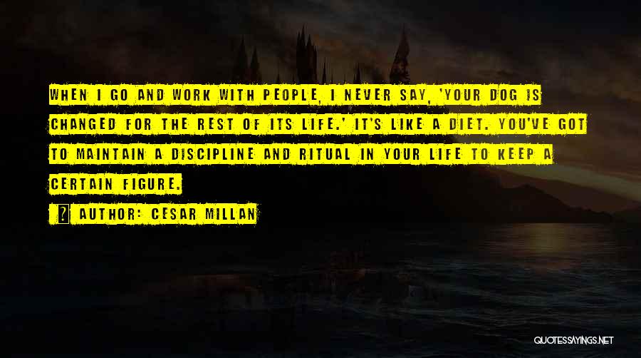 Cesar Millan Quotes: When I Go And Work With People, I Never Say, 'your Dog Is Changed For The Rest Of Its Life.'