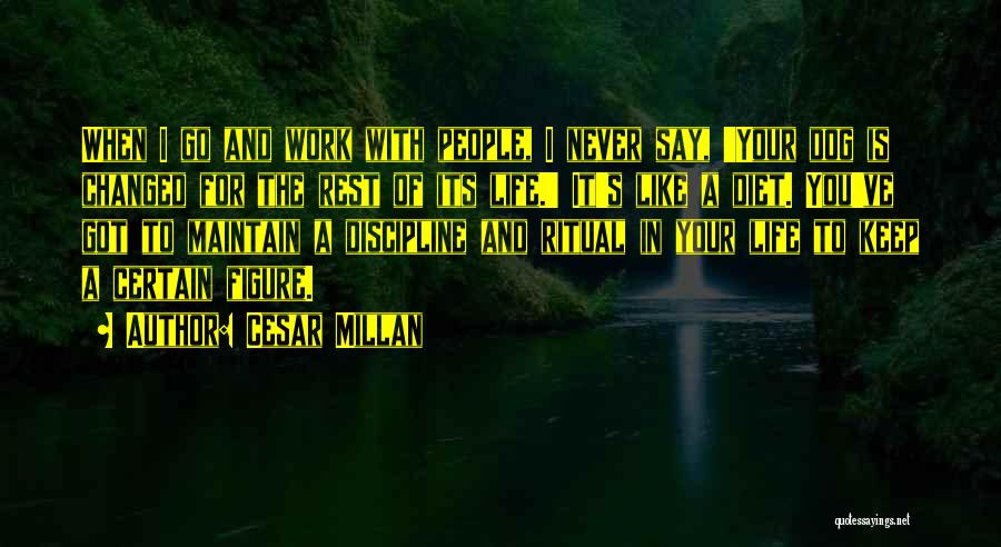 Cesar Millan Quotes: When I Go And Work With People, I Never Say, 'your Dog Is Changed For The Rest Of Its Life.'