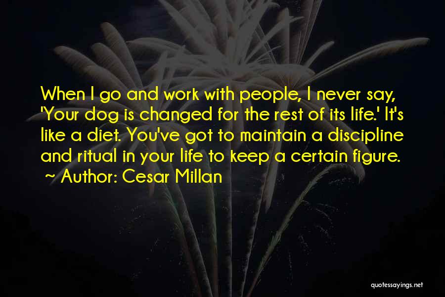 Cesar Millan Quotes: When I Go And Work With People, I Never Say, 'your Dog Is Changed For The Rest Of Its Life.'