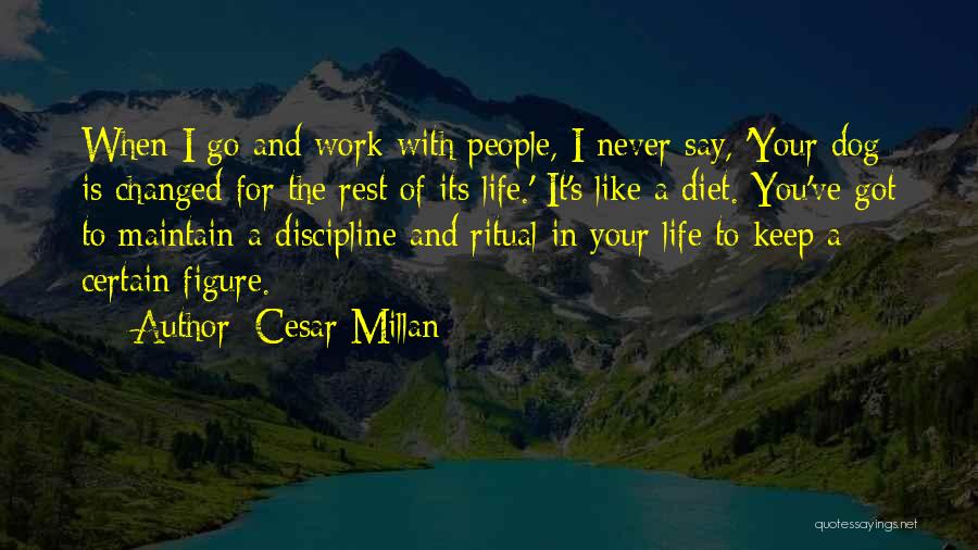 Cesar Millan Quotes: When I Go And Work With People, I Never Say, 'your Dog Is Changed For The Rest Of Its Life.'