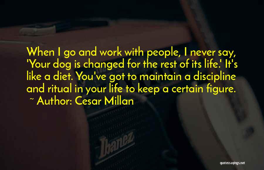 Cesar Millan Quotes: When I Go And Work With People, I Never Say, 'your Dog Is Changed For The Rest Of Its Life.'