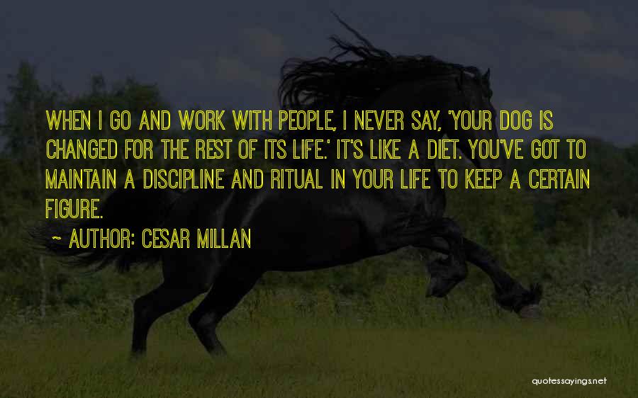 Cesar Millan Quotes: When I Go And Work With People, I Never Say, 'your Dog Is Changed For The Rest Of Its Life.'