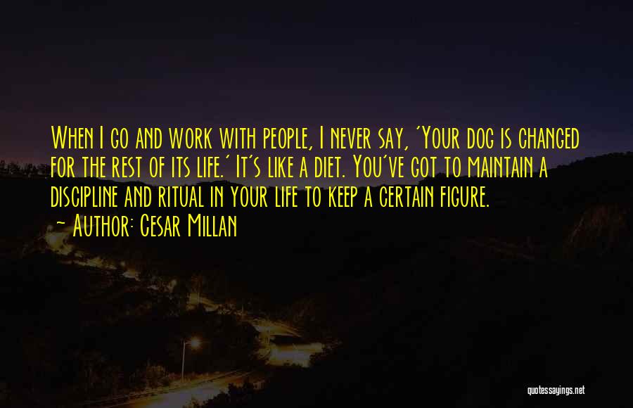 Cesar Millan Quotes: When I Go And Work With People, I Never Say, 'your Dog Is Changed For The Rest Of Its Life.'