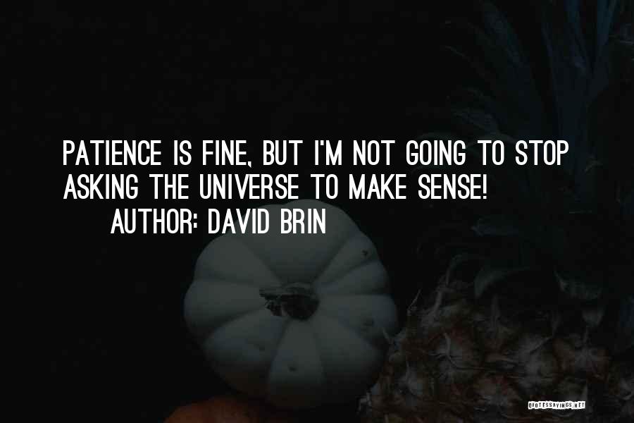 David Brin Quotes: Patience Is Fine, But I'm Not Going To Stop Asking The Universe To Make Sense!