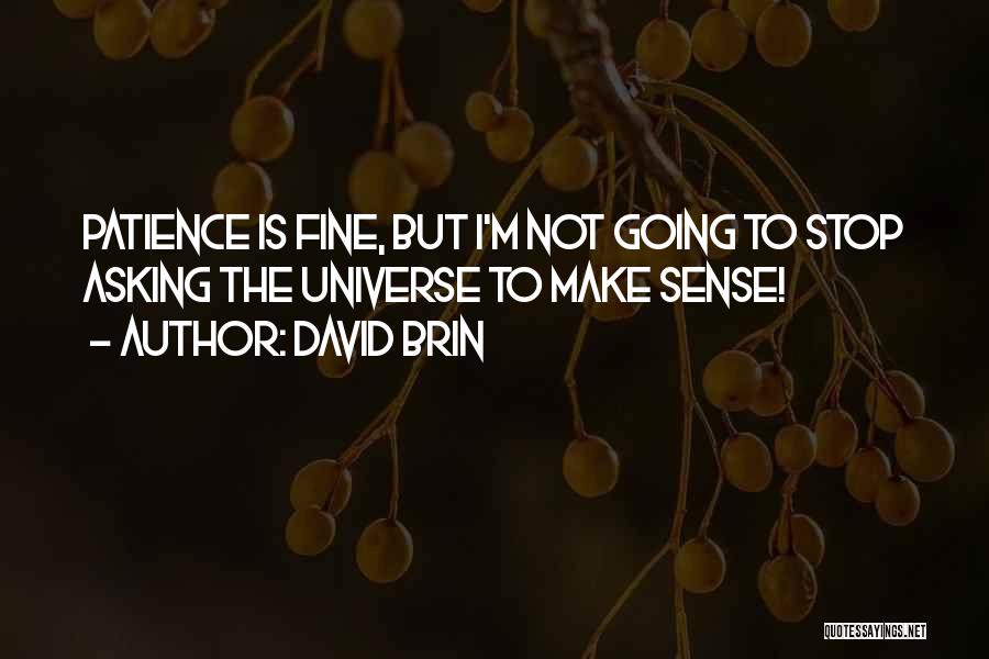 David Brin Quotes: Patience Is Fine, But I'm Not Going To Stop Asking The Universe To Make Sense!