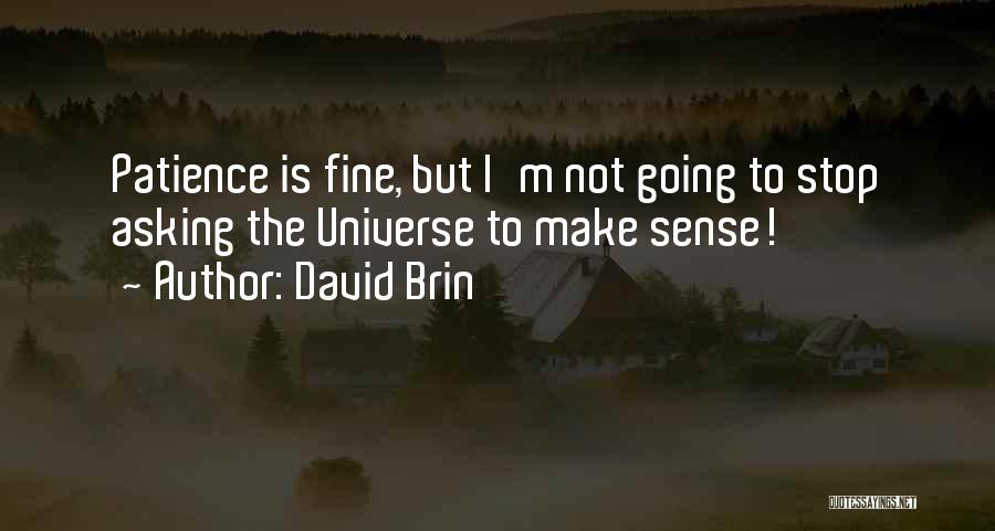 David Brin Quotes: Patience Is Fine, But I'm Not Going To Stop Asking The Universe To Make Sense!