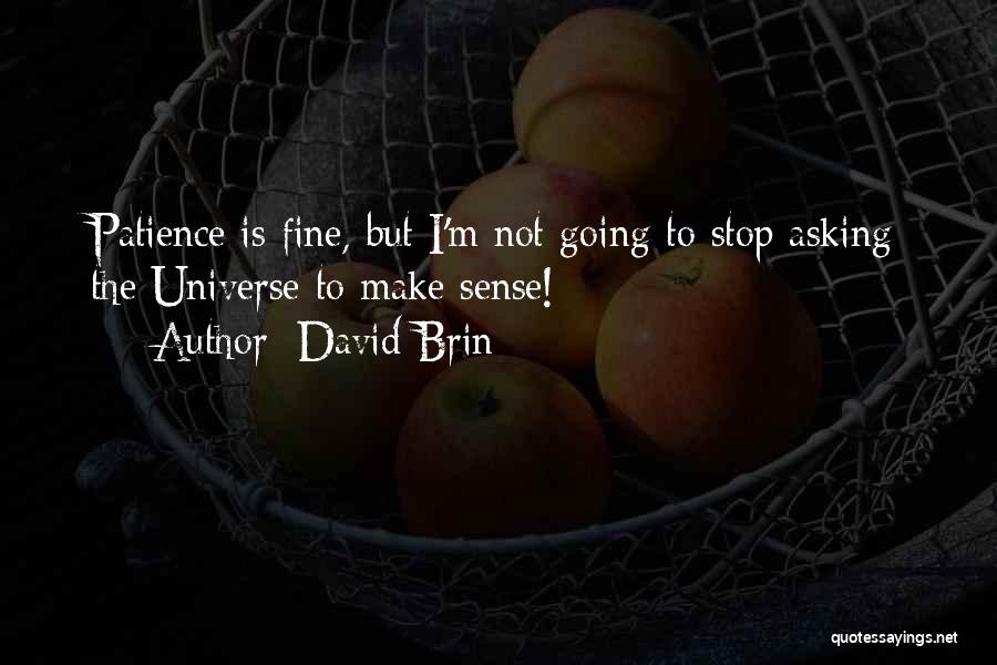 David Brin Quotes: Patience Is Fine, But I'm Not Going To Stop Asking The Universe To Make Sense!