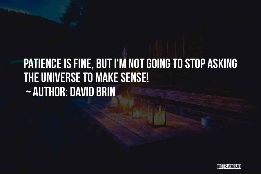 David Brin Quotes: Patience Is Fine, But I'm Not Going To Stop Asking The Universe To Make Sense!