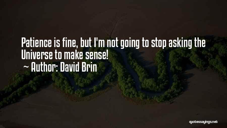 David Brin Quotes: Patience Is Fine, But I'm Not Going To Stop Asking The Universe To Make Sense!