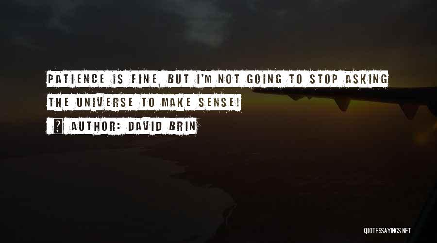 David Brin Quotes: Patience Is Fine, But I'm Not Going To Stop Asking The Universe To Make Sense!