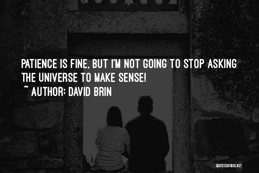 David Brin Quotes: Patience Is Fine, But I'm Not Going To Stop Asking The Universe To Make Sense!