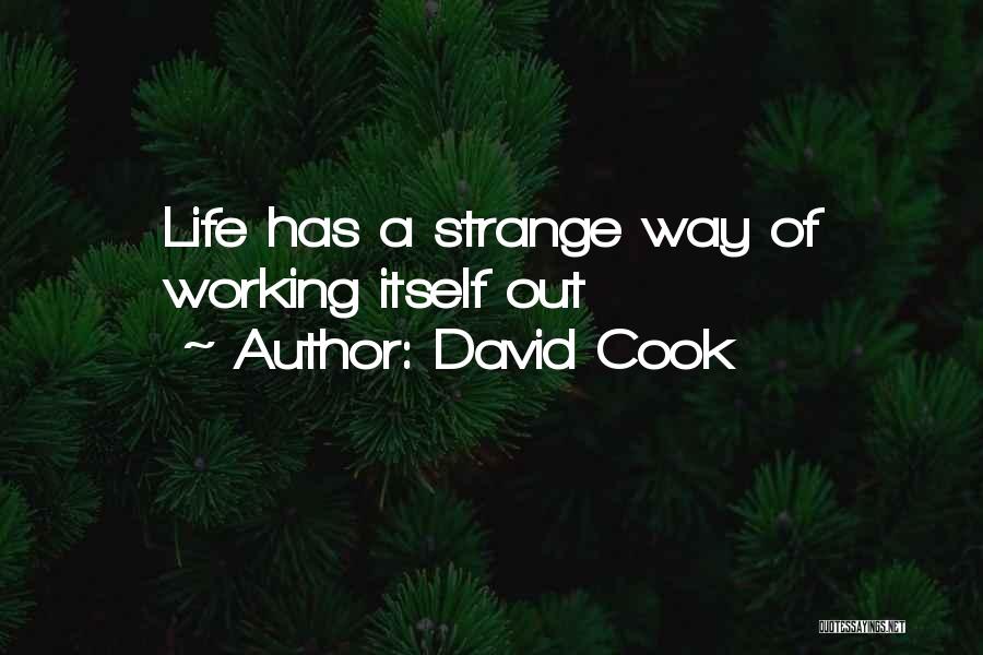 David Cook Quotes: Life Has A Strange Way Of Working Itself Out