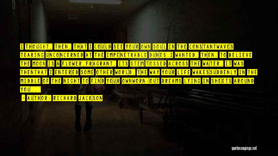 Richard Jackson Quotes: I Thought, Then, That I Could See Your Own Soul In The Constantwaves Tearing Unconcerned At The Impenetrable Dunes.i Wanted,
