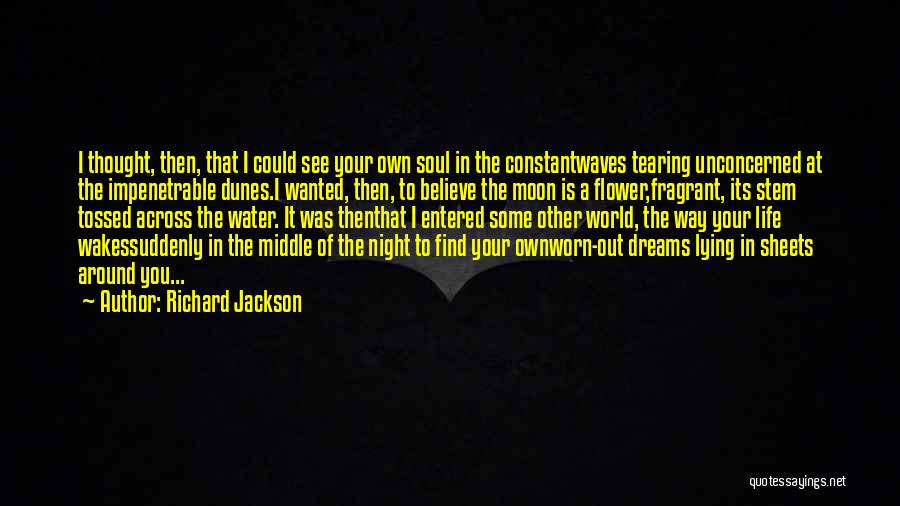 Richard Jackson Quotes: I Thought, Then, That I Could See Your Own Soul In The Constantwaves Tearing Unconcerned At The Impenetrable Dunes.i Wanted,